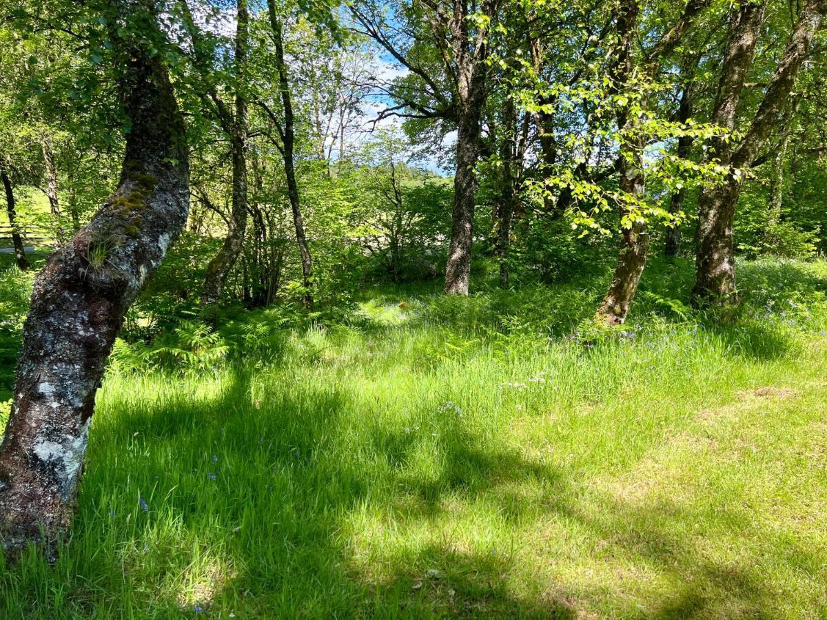 Fern Lodge Dalavich Екстериор снимка
